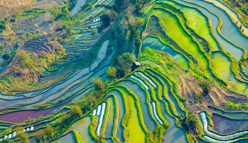 宝妈必备神器：田东县产品视频拍摄轻松育儿好帮手