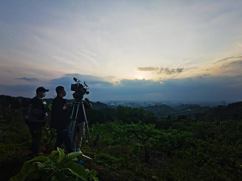 聚焦田东县产品宣传视频拍摄公司，用专业实力铸就品牌传播传奇