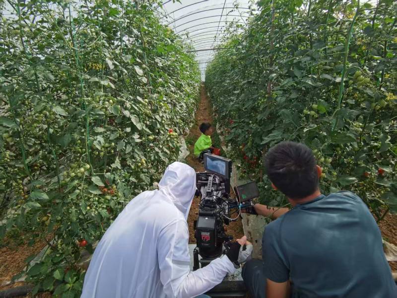 田东县产品宣传视频拍摄公司进阶指南，助力品牌抢占传播高地